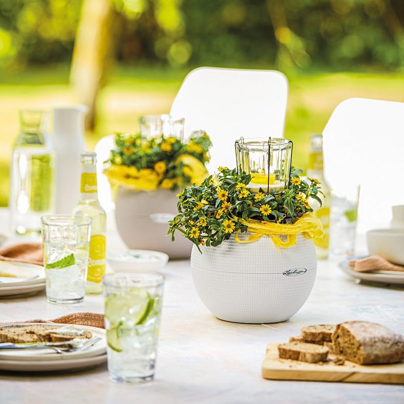 le_puro-color20_product_addi_07